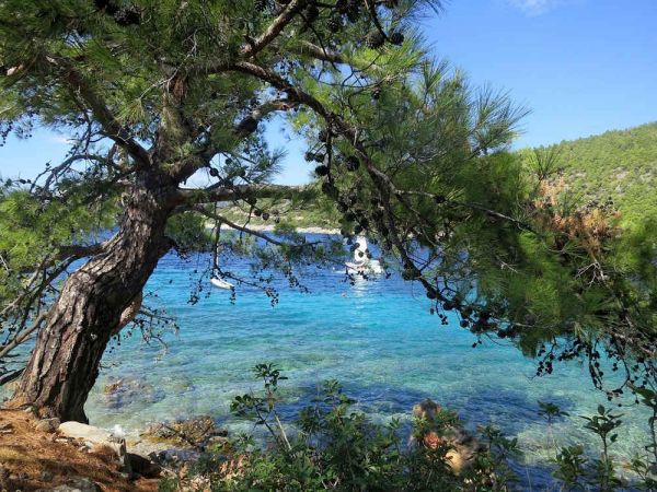 Bodrum plaże i zatoczki. Turcja