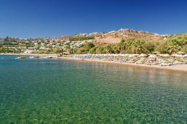 Plaża z wielbłądami. Camel beach Bodrum