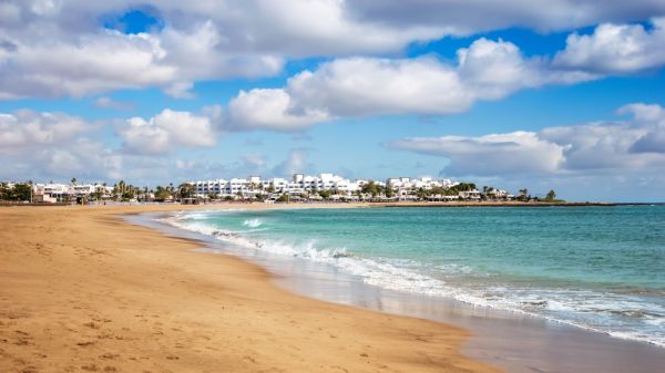 Playa de los Pocillos Plaża Playa de los Pocillos Plaża Lanzarote