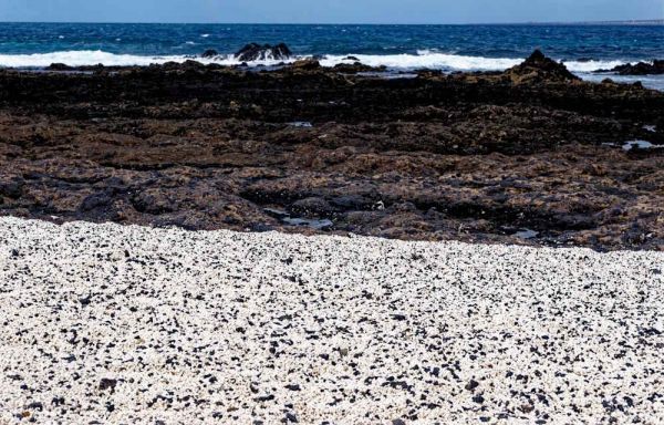 Popcorn Beach Fuerteventura